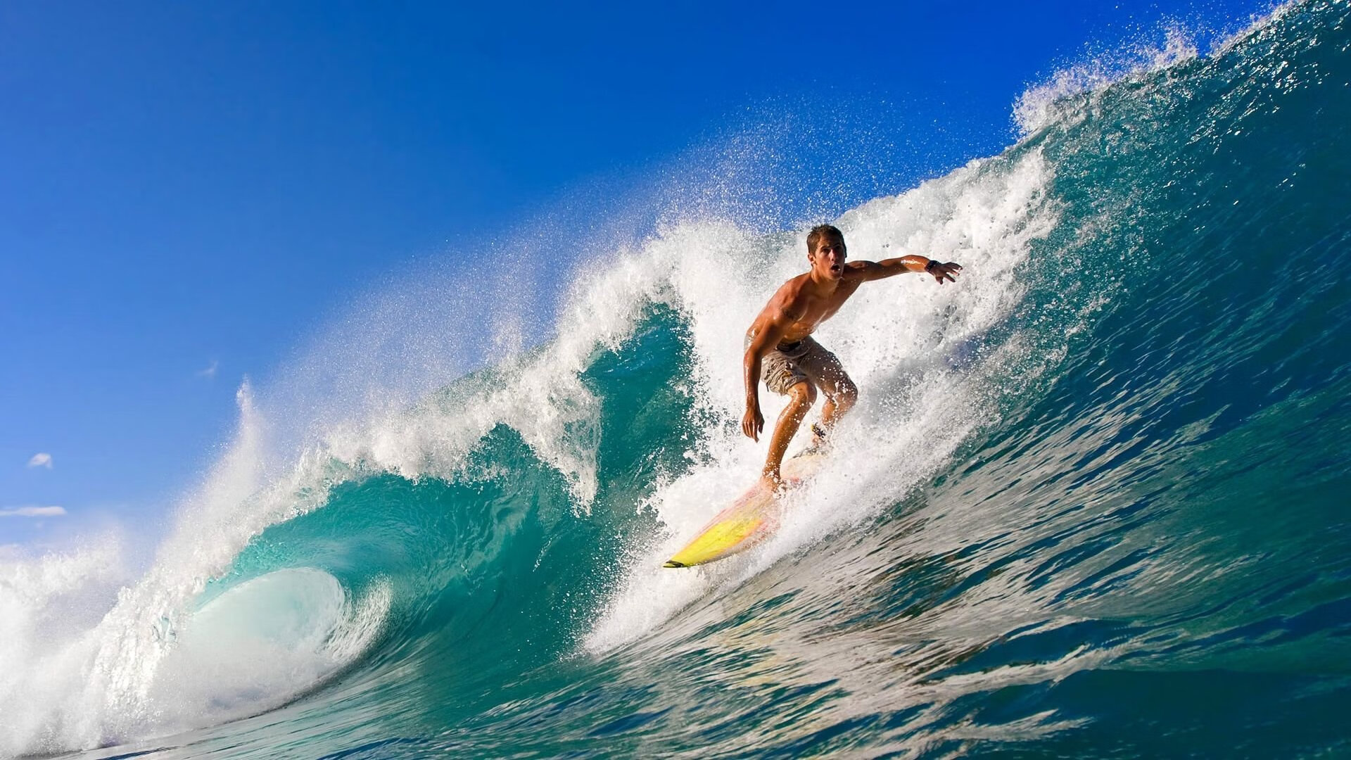 kaiyun登录入口-意大利评论员：塞内加尔足球风格在冰雪中更自由，塞内加尔足球怎么样